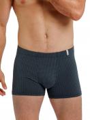 Haasis Bodywear Herren Pants 2er Pack Bio Baumwolle 77261413 Gr. S in navy-print 1