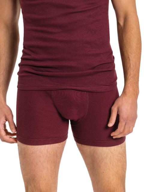 Kumpf Body Fashion Herren Pants 2er Pack Bio Cotton 99606413 Gr. 4 in rubin