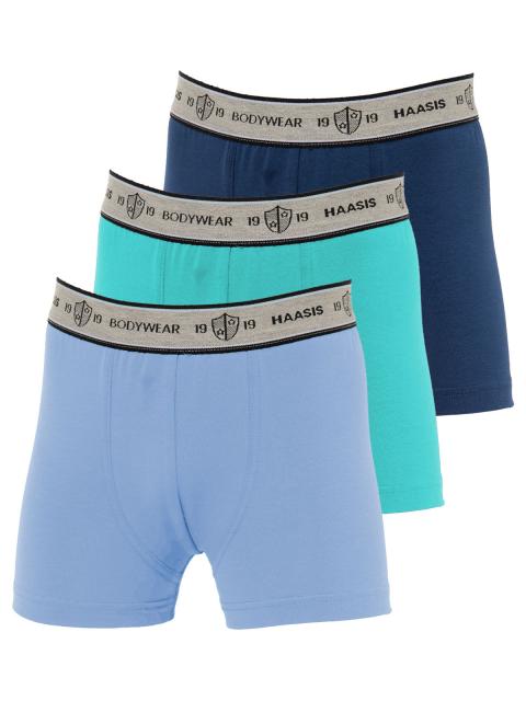 Haasis Bodywear 3er Pack Jungen Pants Bio-Cotton 55354413 Gr. 152 in multi colored