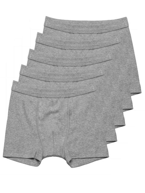 Haasis Bodywear 5er Pack Jungen Pants Bio-Cotton 55503413 Gr. 152 in grau-meliert