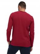 Haasis Bodywear Herren V-Shirt 1/1 Arm Bio-Cotton 77114063 Gr. XXL in weinrot 3