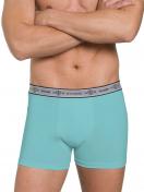 Haasis Bodywear 2er Pack Herren Pants Bio-Cotton 77270413 Gr. M in bleu-hellgrün 3