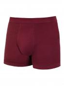 Kumpf Body Fashion Herren Pants 2er Pack Bio Cotton 99606413 Gr. 4 in rubin 4