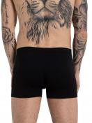 Haasis Bodywear 2er Pack Herren Pants Bio-Cotton 77254413 Gr. XL in schwarz 4