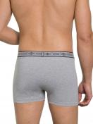 Haasis Bodywear 3er Pack Herren Pants Bio-Cotton 77352413 Gr. S in grau-meliert 4