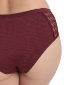 Sassa Panty Beautiful Classic 34349 Gr. 42 in Red wine 4
