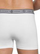 Haasis Bodywear 3er Pack Herren Pants Bio-Cotton 77350413 Gr. XXL in weiss 5