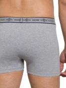 Haasis Bodywear 3er Pack Herren Pants Bio-Cotton 77352413 Gr. S in grau-meliert 5