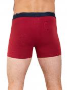 Haasis Bodywear 3er Pack Herren Pants Bio-Cotton 77375413 Gr. L in multi colored 5