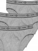 Haasis Bodywear 3er Pack Herren Slip Bio-Cotton 77352263 Gr. XL in grau-meliert 6