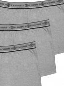 Haasis Bodywear 3er Pack Herren Pants Bio-Cotton 77352413 Gr. S in grau-meliert 6